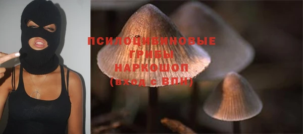гидра Краснослободск