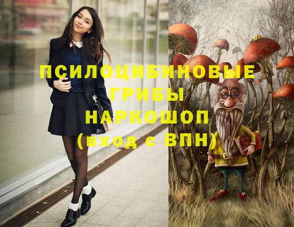 гидра Краснослободск