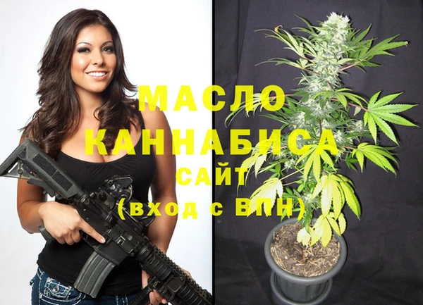 гидра Краснослободск