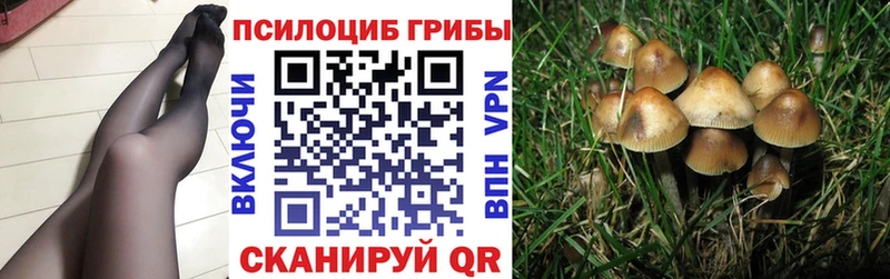 Купить где  Канск  Псилоцибиновые грибы Magic Shrooms 